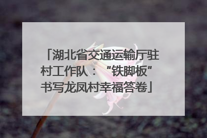 湖北省交通运输厅驻村工作队：“铁脚板”书写龙凤村幸福答卷