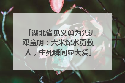 湖北省见义勇为先进邓章明：六米深水勇救人，生死瞬间显大爱