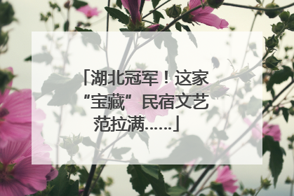 湖北冠军！这家“宝藏”民宿文艺范拉满……