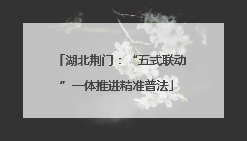 湖北荆门：“五式联动”一体推进精准普法