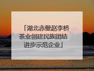 湖北赤壁赵李桥茶业创建民族团结进步示范企业