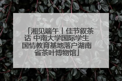 湘见端午丨佳节叙茶话 中南大学国际学生国情教育基地落户湖南省茶叶博物馆