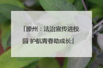 滕州：法治宣传进校园 护航青春助成长