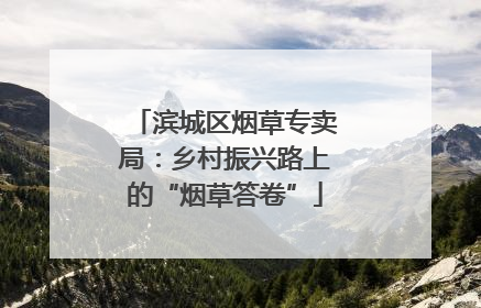 滨城区烟草专卖局：乡村振兴路上的“烟草答卷”