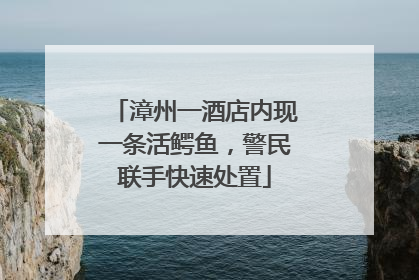 漳州一酒店内现一条活鳄鱼，警民联手快速处置