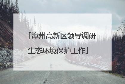 漳州高新区领导调研生态环境保护工作