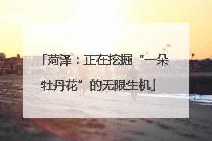 菏泽：正在挖掘“一朵牡丹花”的无限生机