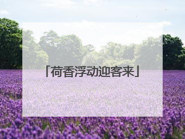 荷香浮动迎客来