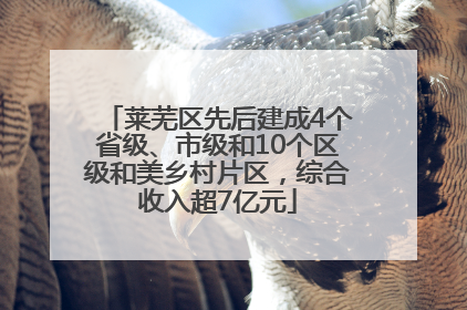 莱芜区先后建成4个省级、市级和10个区级和美乡村片区，综合收入超7亿元