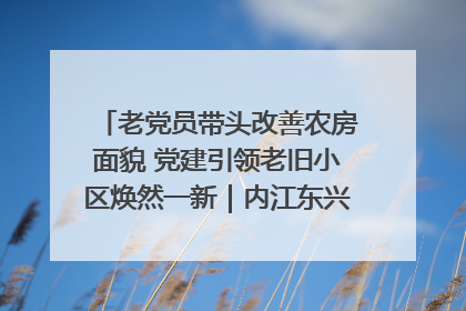老党员带头改善农房面貌 党建引领老旧小区焕然一新｜内江东兴“红”在哪？④
