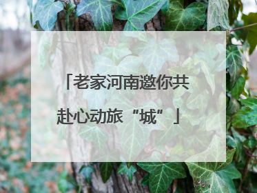 老家河南邀你共赴心动旅“城”