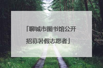 聊城市图书馆公开招募暑假志愿者