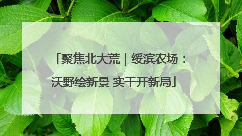 聚焦北大荒｜绥滨农场：沃野绘新景 实干开新局
