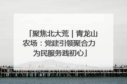 聚焦北大荒｜青龙山农场：党建引领聚合力 为民服务践初心
