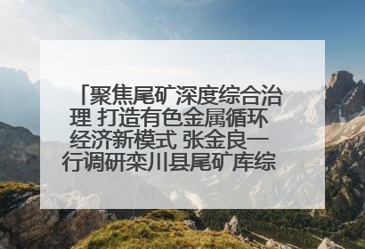 聚焦尾矿深度综合治理 打造有色金属循环经济新模式 张金良一行调研栾川县尾矿库综合治理工作