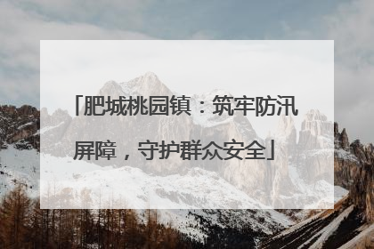 肥城桃园镇：筑牢防汛屏障，守护群众安全