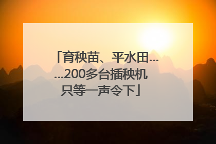 育秧苗、平水田……200多台插秧机只等一声令下