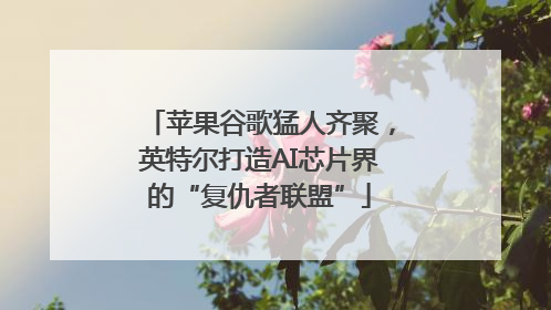 苹果谷歌猛人齐聚，英特尔打造AI芯片界的“复仇者联盟”