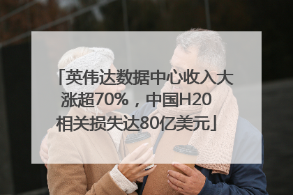 英伟达数据中心收入大涨超70%，中国H20相关损失达80亿美元