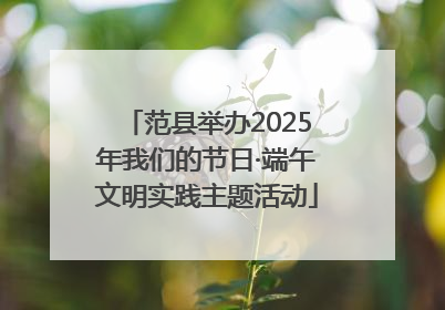 范县举办2025年我们的节日·端午文明实践主题活动