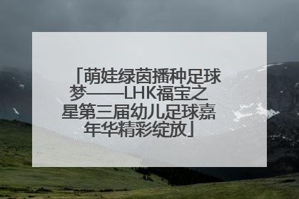 萌娃绿茵播种足球梦——LHK福宝之星第三届幼儿足球嘉年华精彩绽放
