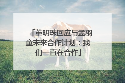 董明珠回应与孟羽童未来合作计划：我们一直在合作
