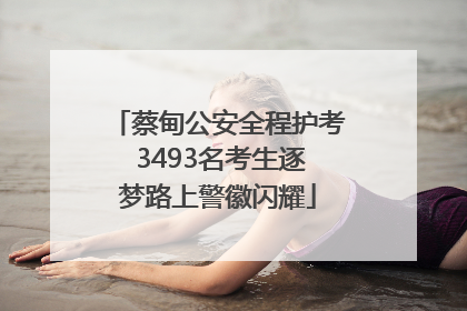 蔡甸公安全程护考 3493名考生逐梦路上警徽闪耀