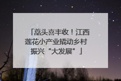 藠头喜丰收！江西莲花小产业撬动乡村振兴“大发展”