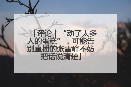 评论丨“动了太多人的蛋糕”，可能告别直播的张雪峰不妨把话说清楚