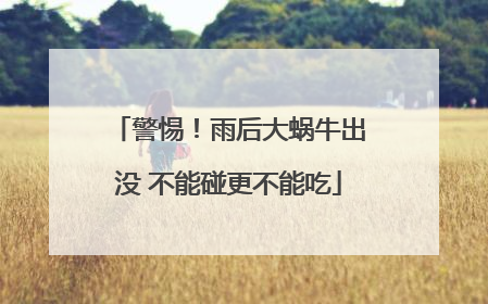 警惕！雨后大蜗牛出没 不能碰更不能吃