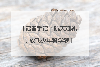 记者手记：航天观礼，放飞少年科学梦