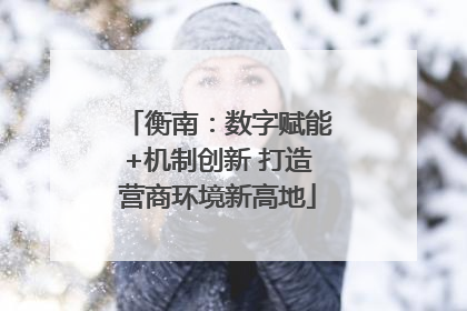 衡南：数字赋能+机制创新 打造营商环境新高地