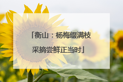 衡山：杨梅缀满枝 采摘尝鲜正当时