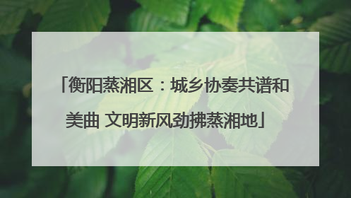 衡阳蒸湘区：城乡协奏共谱和美曲 文明新风劲拂蒸湘地