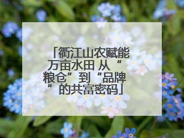 衢江山农赋能万亩水田 从“粮仓”到“品牌”的共富密码