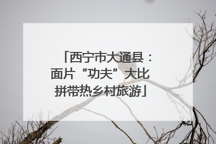 西宁市大通县：面片“功夫”大比拼带热乡村旅游