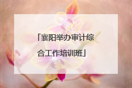 襄阳举办审计综合工作培训班