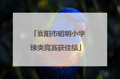 襄阳市昭明小学球类竞赛获佳绩