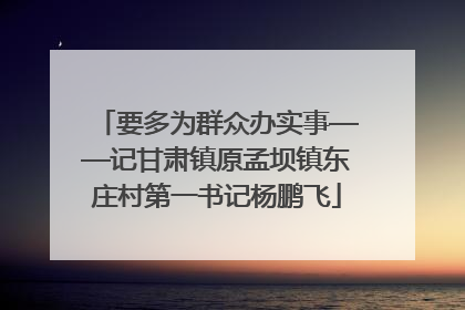 要多为群众办实事——记甘肃镇原孟坝镇东庄村第一书记杨鹏飞
