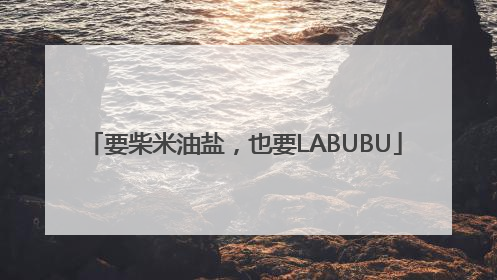 要柴米油盐，也要LABUBU