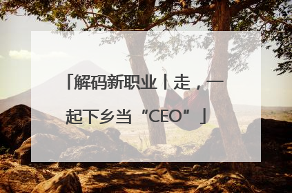 解码新职业丨走，一起下乡当“CEO”