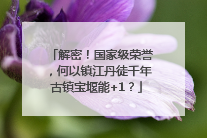 解密！国家级荣誉，何以镇江丹徒千年古镇宝堰能+1？