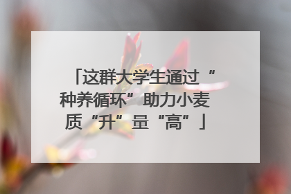 这群大学生通过“种养循环”助力小麦质“升”量“高”