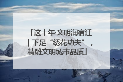 这十年·文明润宿迁｜下足“绣花功夫”，精雕文明城市品质