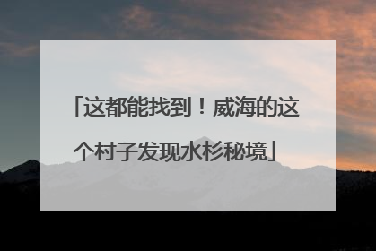这都能找到！威海的这个村子发现水杉秘境