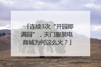 连续3次“开园即满园”，天门服装电商城为何这么火？