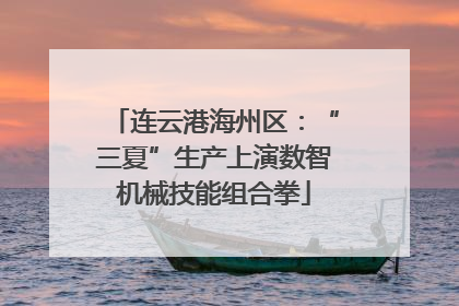 连云港海州区：“三夏”生产上演数智机械技能组合拳