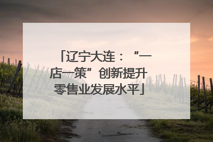 辽宁大连：“一店一策”创新提升零售业发展水平