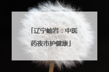 辽宁岫岩：中医药夜市护健康