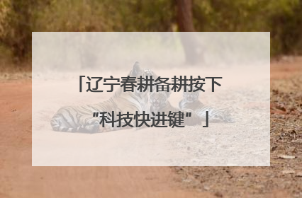 辽宁春耕备耕按下“科技快进键”